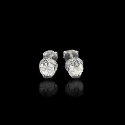 ARETES PARA HOMBRES | Lion Luxury