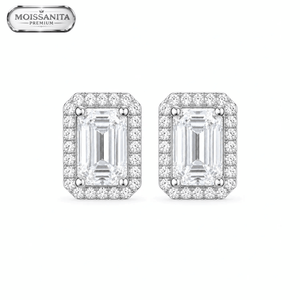 ARETES PARA HOMBRES | Lion Luxury