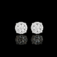 ARETES PARA HOMBRES | Lion Luxury