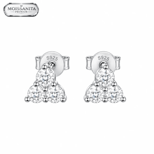 ARETES PARA HOMBRES | Lion Luxury