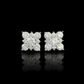 ARETES PARA HOMBRES | Lion Luxury