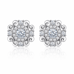 ARETES PARA HOMBRES | Lion Luxury
