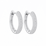 ARETES PARA HOMBRES | Lion Luxury