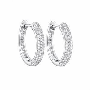 ARETES PARA HOMBRES | Lion Luxury