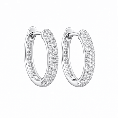 ARETES PARA HOMBRES | Lion Luxury