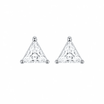 ARETES PARA HOMBRES | Lion Luxury