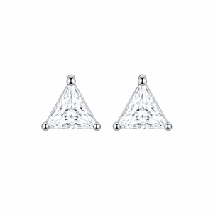 ARETES PARA HOMBRES | Lion Luxury