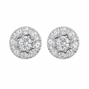 ARETES PARA HOMBRES | Lion Luxury