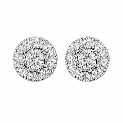 ARETES PARA HOMBRES | Lion Luxury