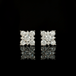 ARETES PARA HOMBRES | Lion Luxury