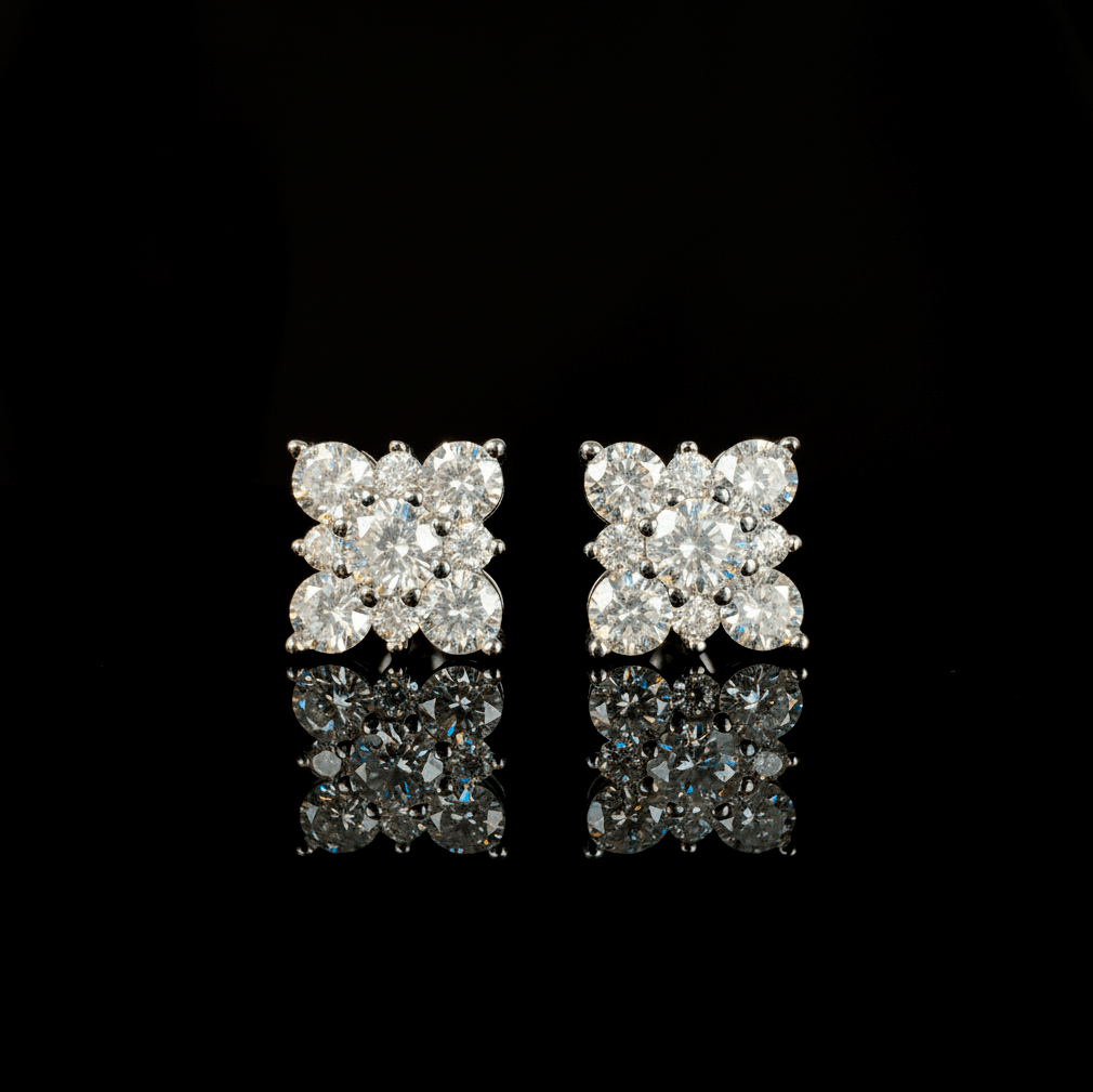 ARETES PARA HOMBRES | Lion Luxury