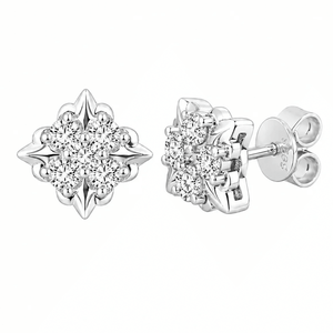 ARETES PARA HOMBRES | Lion Luxury