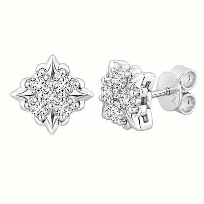 ARETES PARA HOMBRES | Lion Luxury