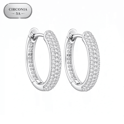 ARETES PARA HOMBRES | Lion Luxury