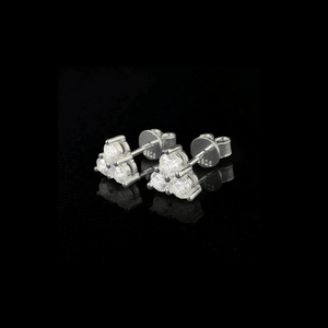 ARETES PARA HOMBRES | Lion Luxury