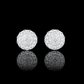 ARETES PARA HOMBRES | Lion Luxury