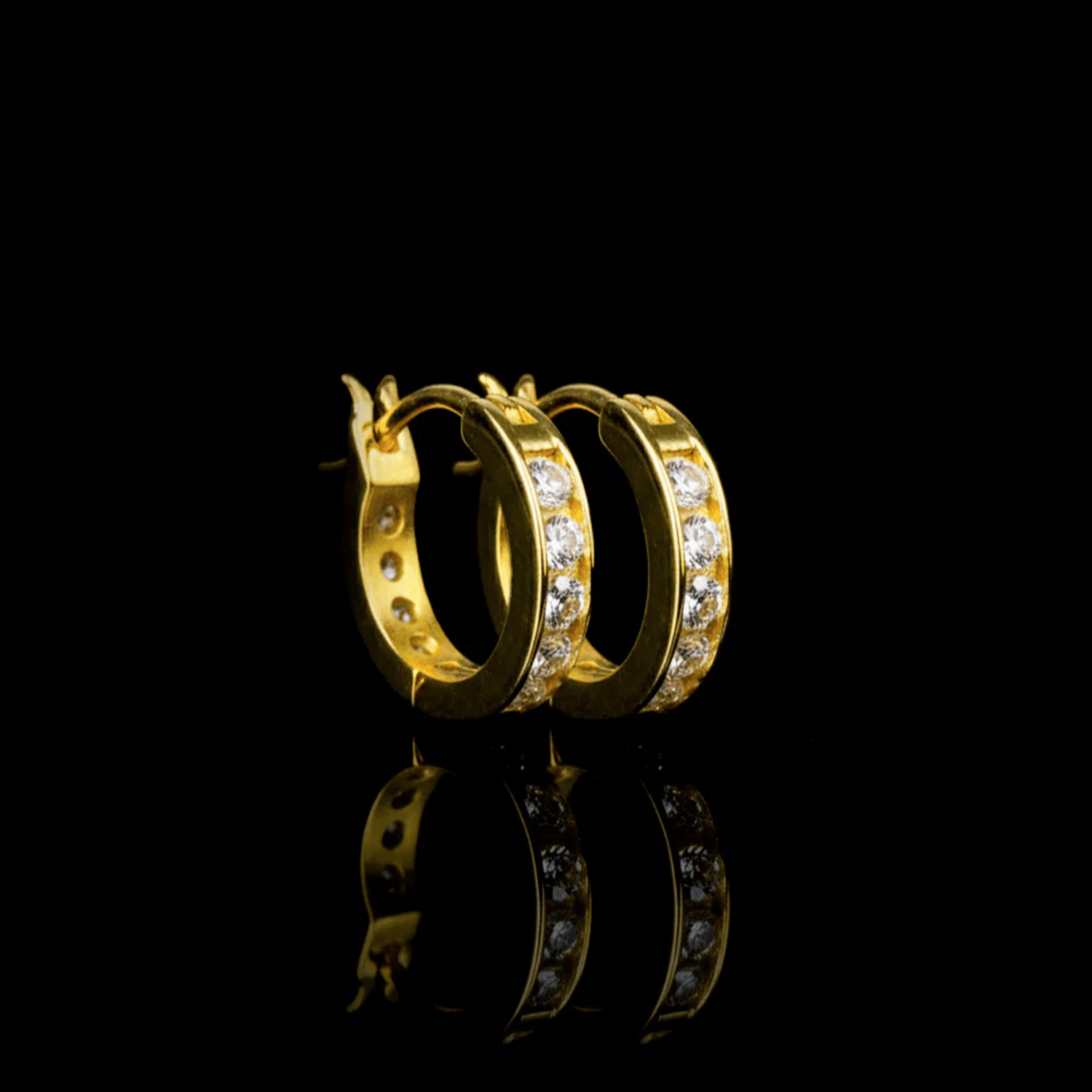 ARETES PARA HOMBRES | Lion Luxury