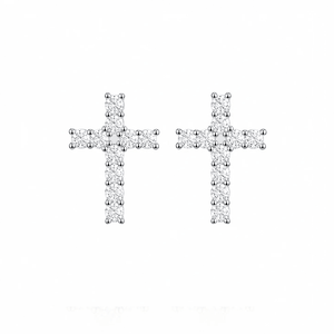 ARETES PARA HOMBRES | Lion Luxury