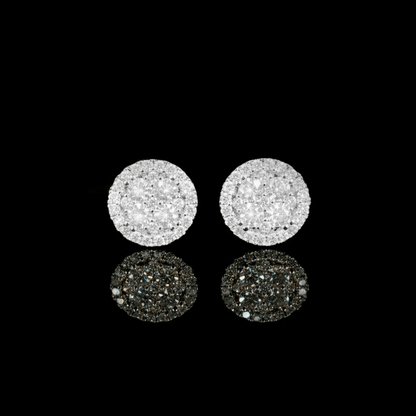 ARETES PARA HOMBRES | Lion Luxury