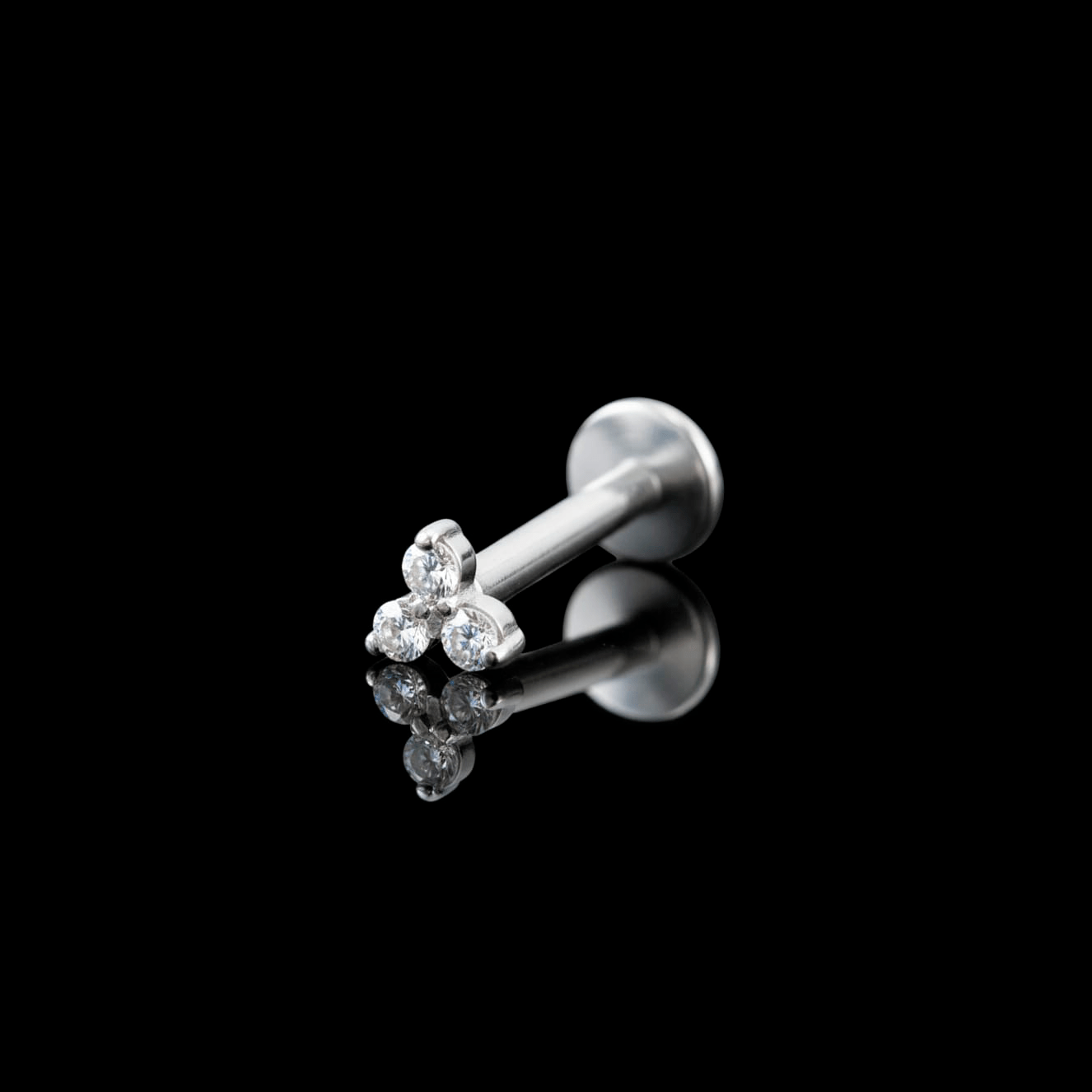 PIERCING TITANIO F136 | Lion Luxury