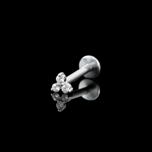 PIERCING TITANIO F136 | Lion Luxury