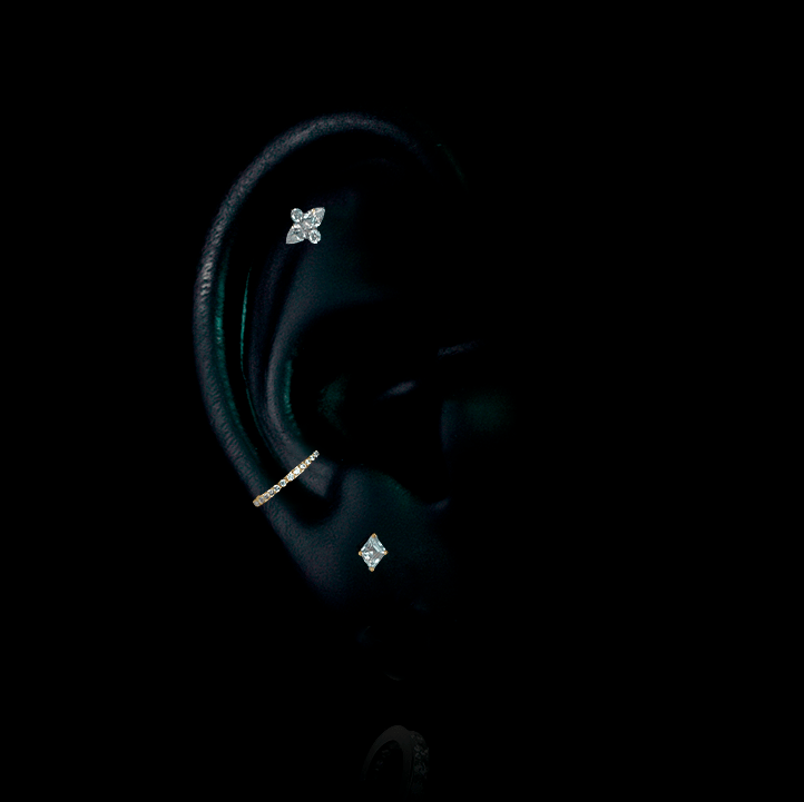 PIERCING TITANIO F136 | Lion Luxury