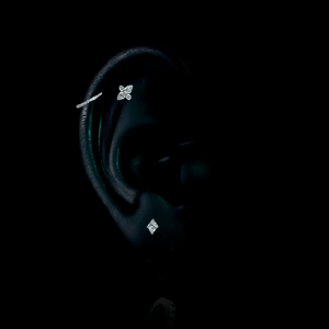 PIERCING TITANIO F136 | Lion Luxury