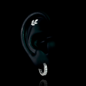 PIERCING TITANIO F136 | Lion Luxury