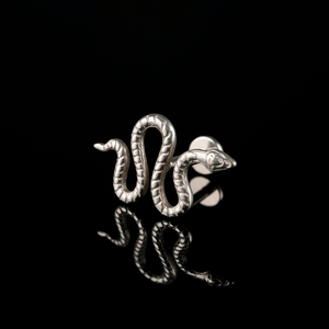PIERCING TITANIO F136 | Lion Luxury