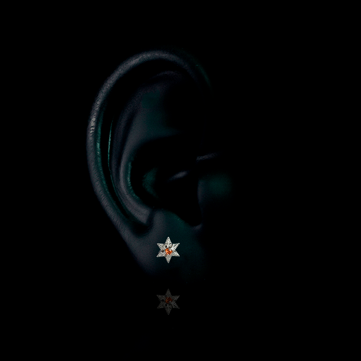 PIERCING TITANIO F136 | Lion Luxury