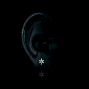 PIERCING TITANIO F136 | Lion Luxury