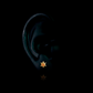 PIERCING TITANIO F136 | Lion Luxury