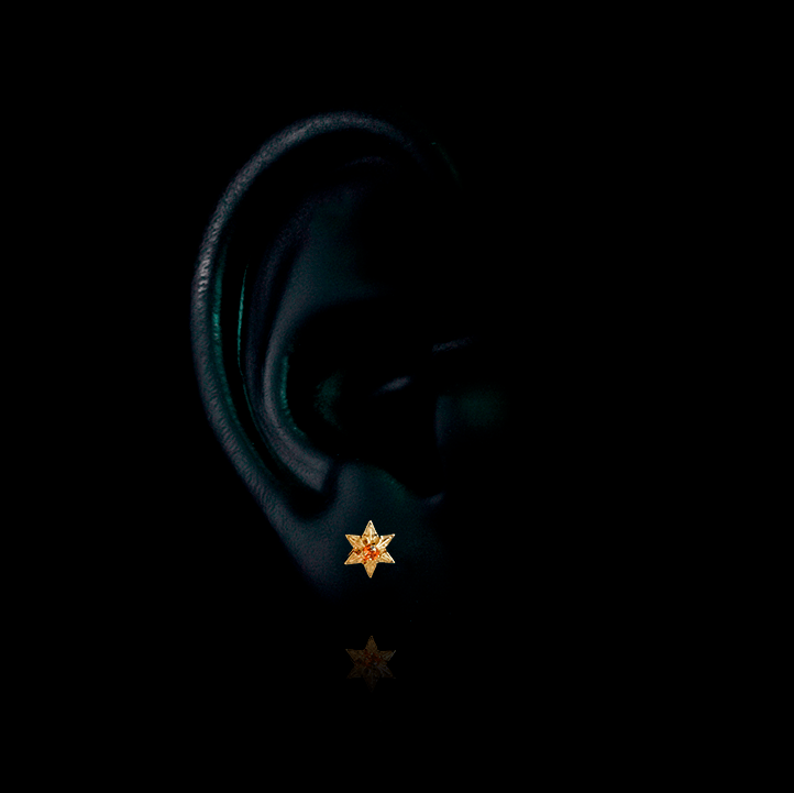 PIERCING TITANIO F136 | Lion Luxury