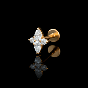 PIERCING TITANIO F136 | Lion Luxury
