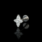 PIERCING TITANIO F136 | Lion Luxury