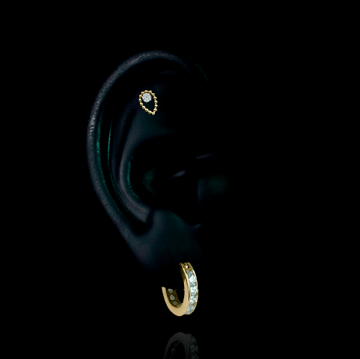 PIERCING TITANIO F136 | Lion Luxury