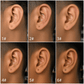 PIERCING TITANIO F136 | Lion Luxury
