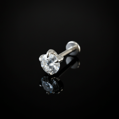 PIERCING TITANIO F136 | Lion Luxury