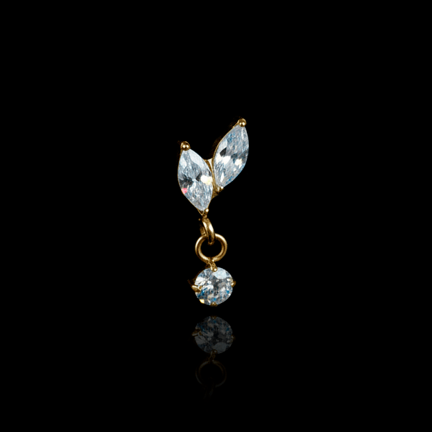 PIERCING TITANIO F136 | Lion Luxury