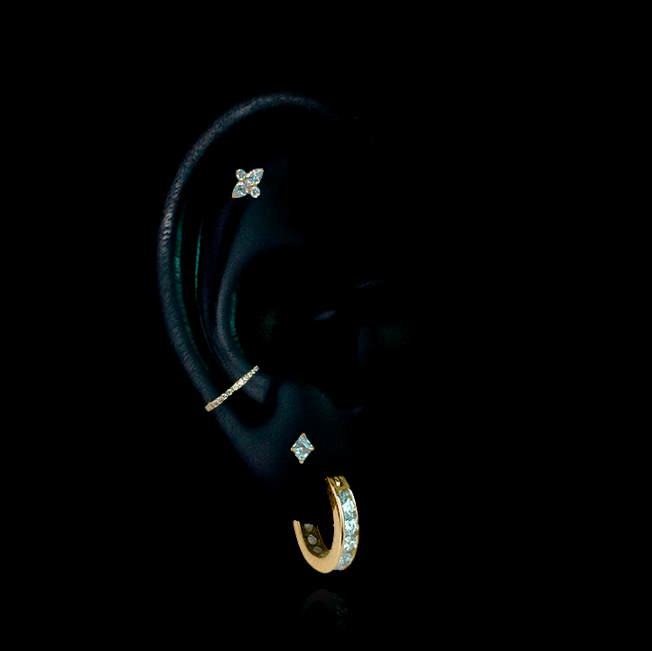 PIERCING TITANIO F136 | Lion Luxury