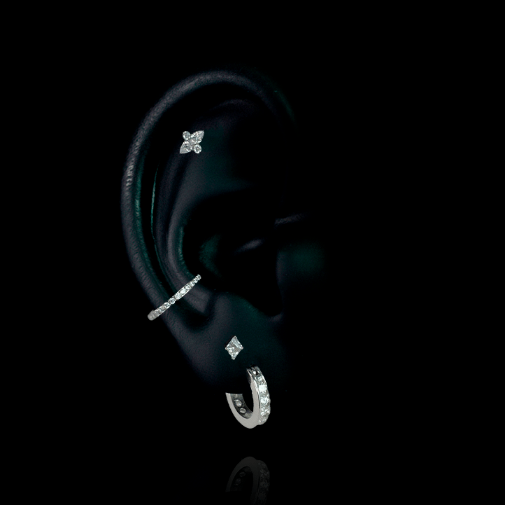 PIERCING TITANIO F136 | Lion Luxury