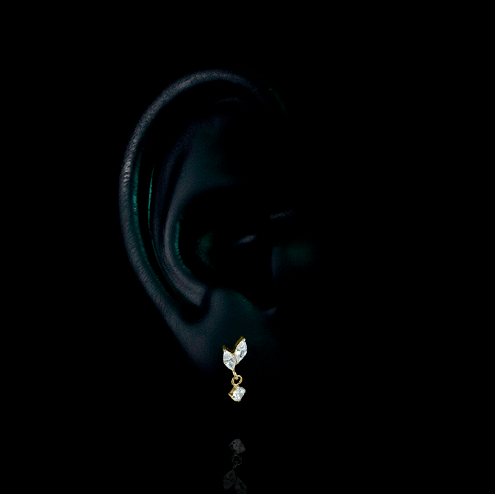 PIERCING TITANIO F136 | Lion Luxury