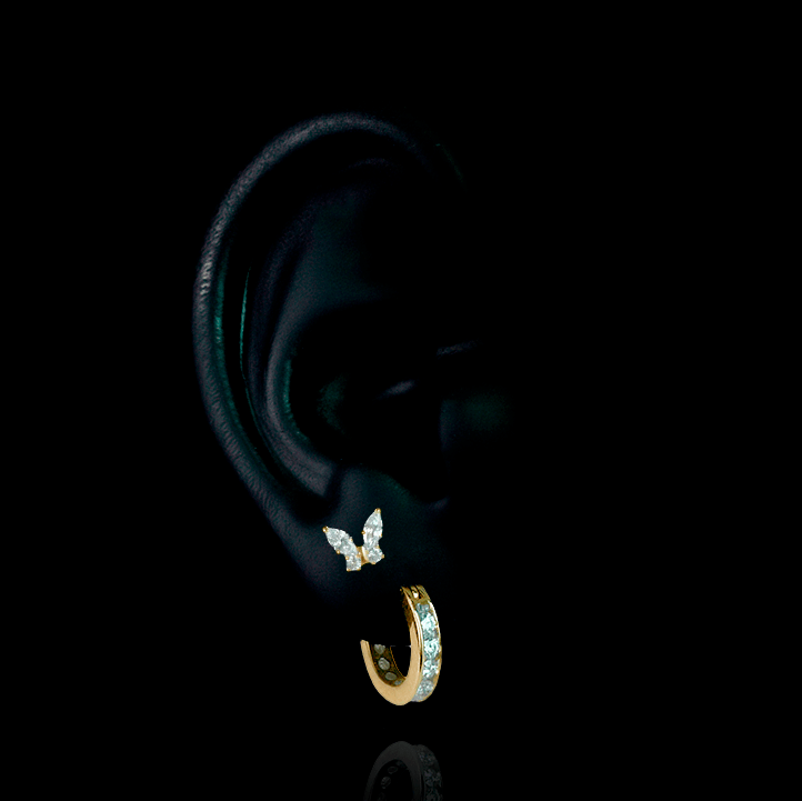 PIERCING TITANIO F136 | Lion Luxury