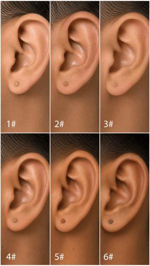 PIERCING TITANIO F136 | Lion Luxury