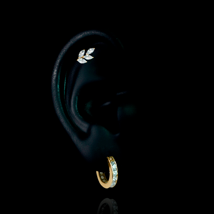 PIERCING TITANIO F136 | Lion Luxury