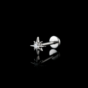 PIERCING TITANIO F136 | Lion Luxury