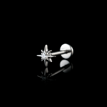 PIERCING TITANIO F136 | Lion Luxury