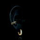 PIERCING TITANIO F136 | Lion Luxury