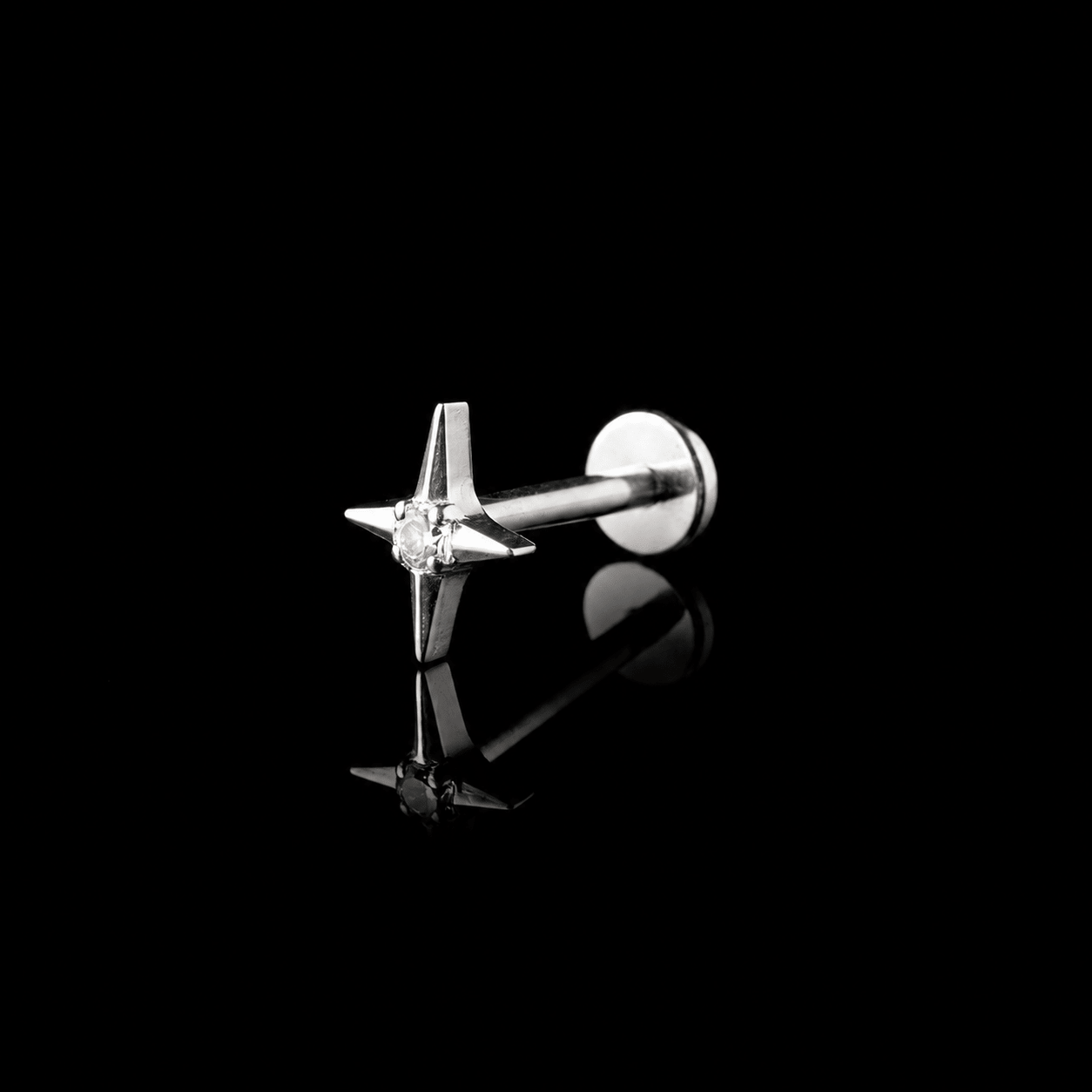 PIERCING TITANIO F136 | Lion Luxury