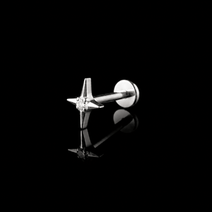 PIERCING TITANIO F136 | Lion Luxury